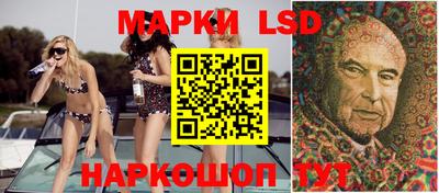 гидра Будённовск