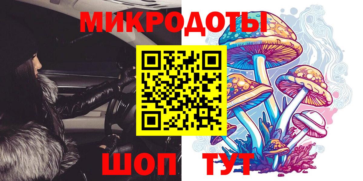 наркота  Вход с VPN  Магадан  Псилоцибиновые грибы мицелий 